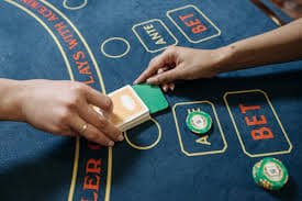 bet59566